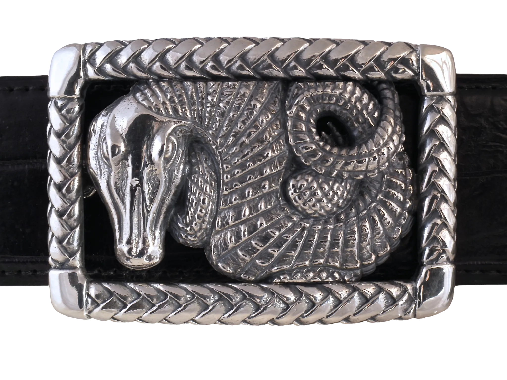 #1363 Alligator in Braided Frame