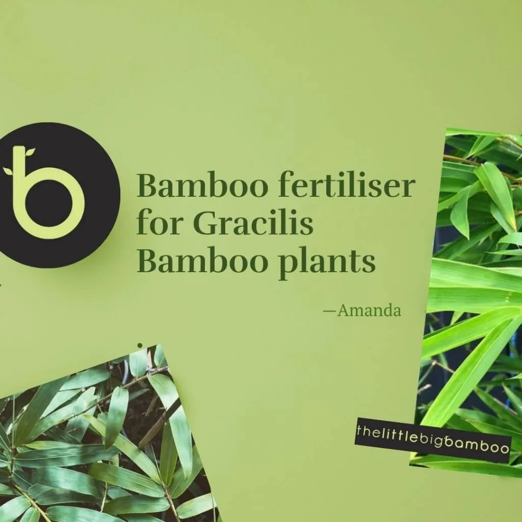 Bamboo Fertiliser Pack (incl. SMS reminders)