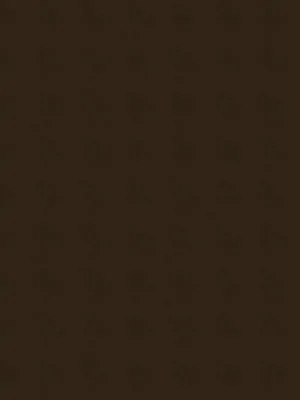 Belmond washed linen - Bark