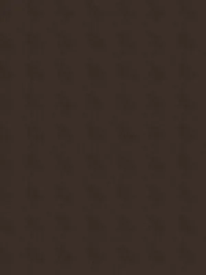 Belmond washed linen - Clove