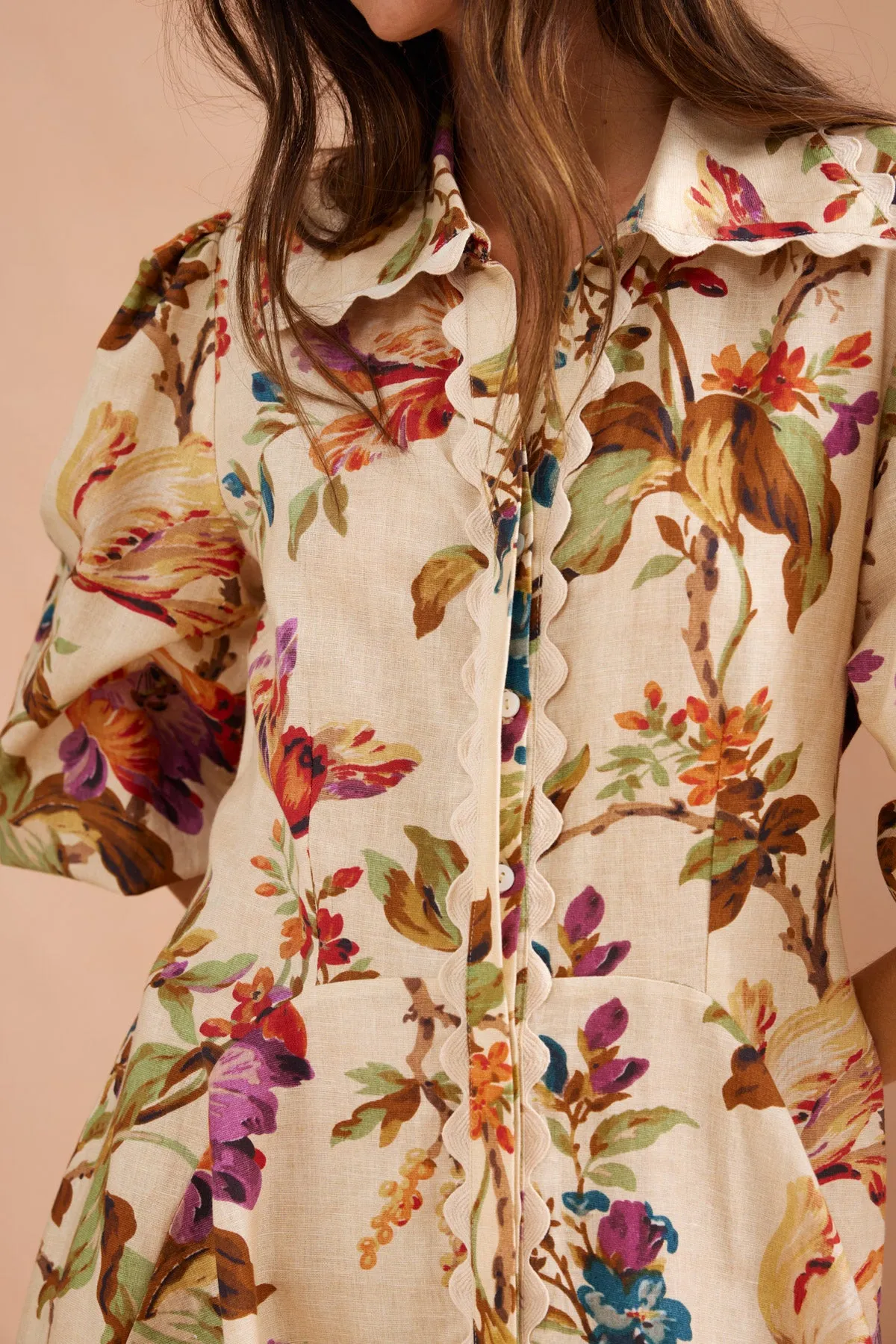 Binny, Brae Shirtdress
