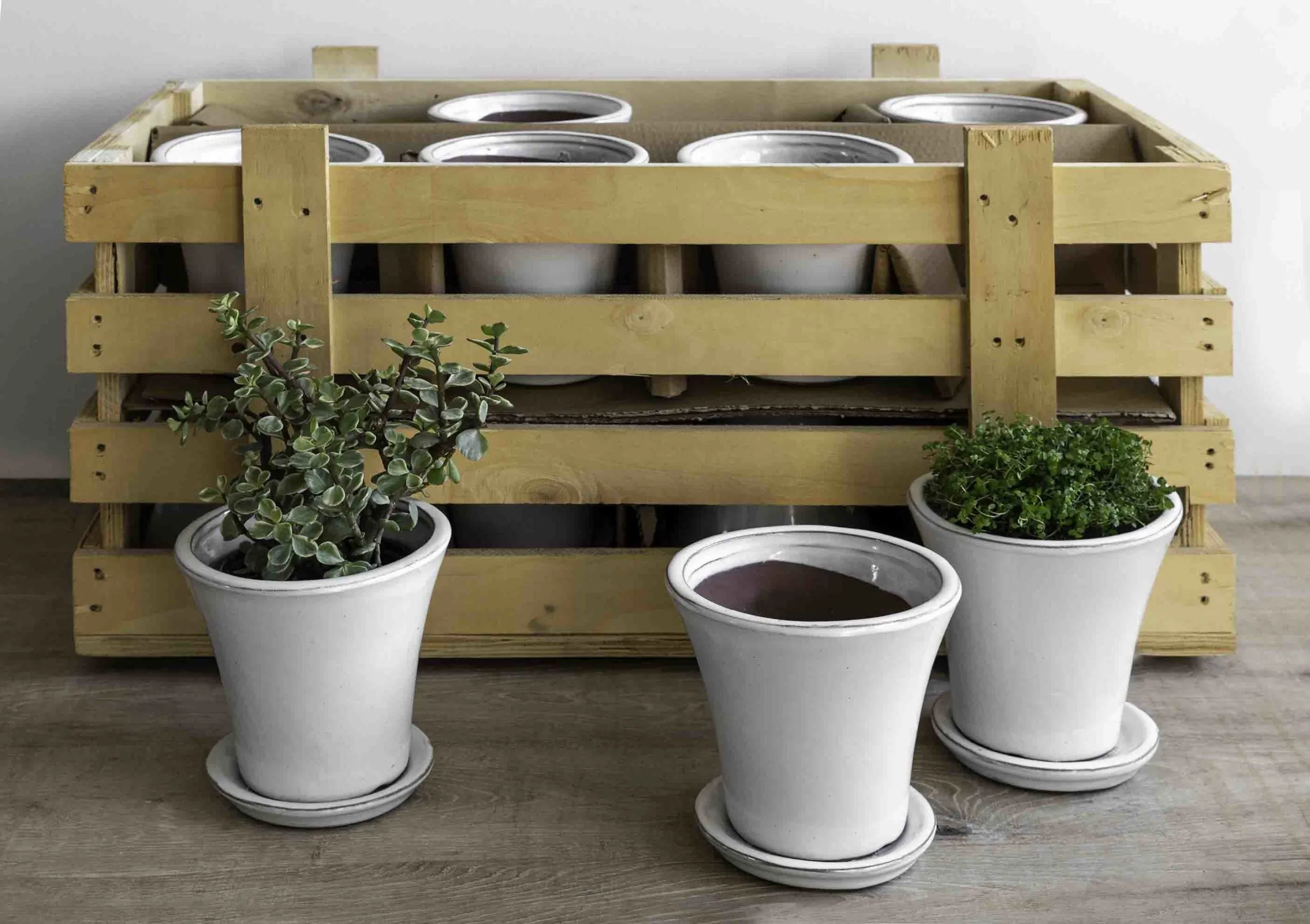 Campania Audrey Planter Set of 16