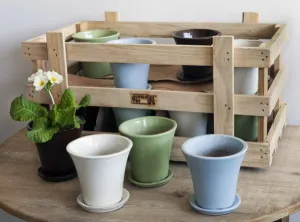 Campania Audrey Planter Set of 16
