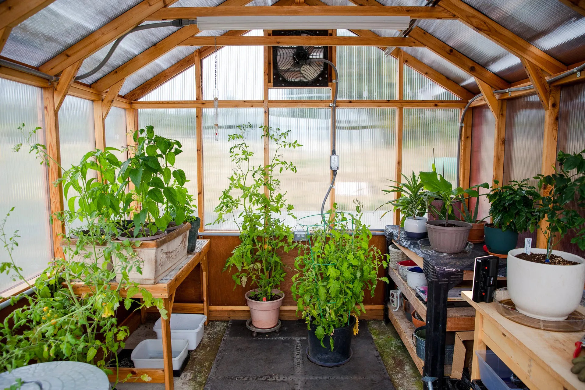 Charley's Alpine Insulated Cedar Greenhouse