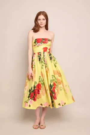 DARIA STRAPLESS DRESS 022225