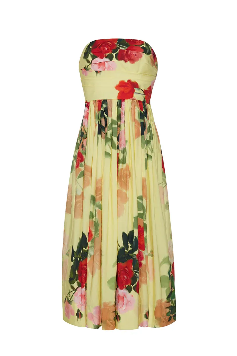 DARIA STRAPLESS DRESS 022225
