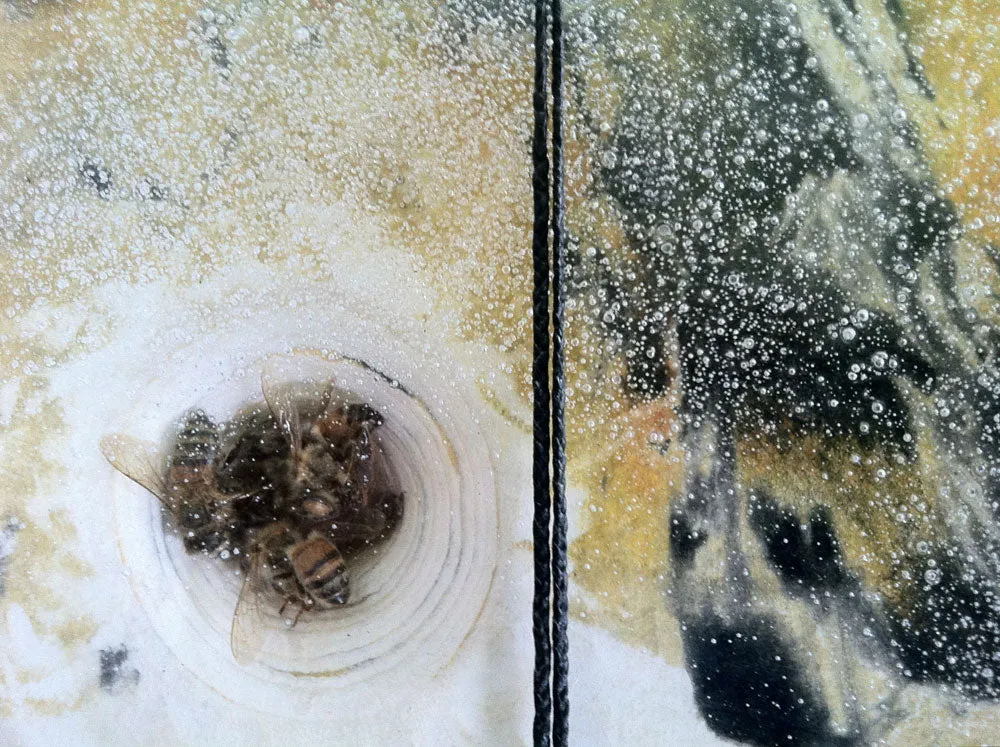 Disturbing Beehavior by Abigail Boroughs Schultz -SOLD!