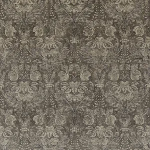 Lapura Velvet-Mole