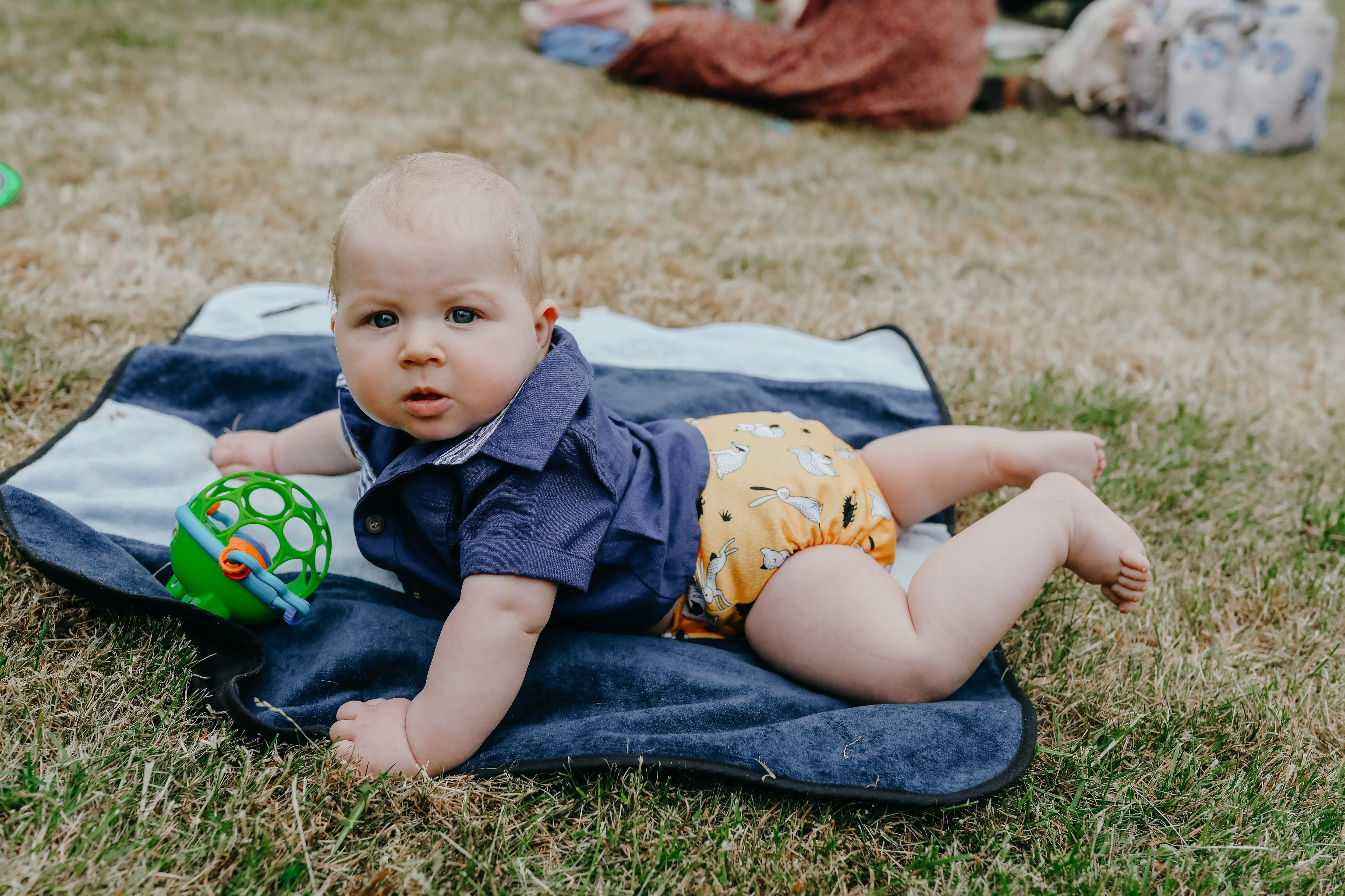 Meadow | OSFM