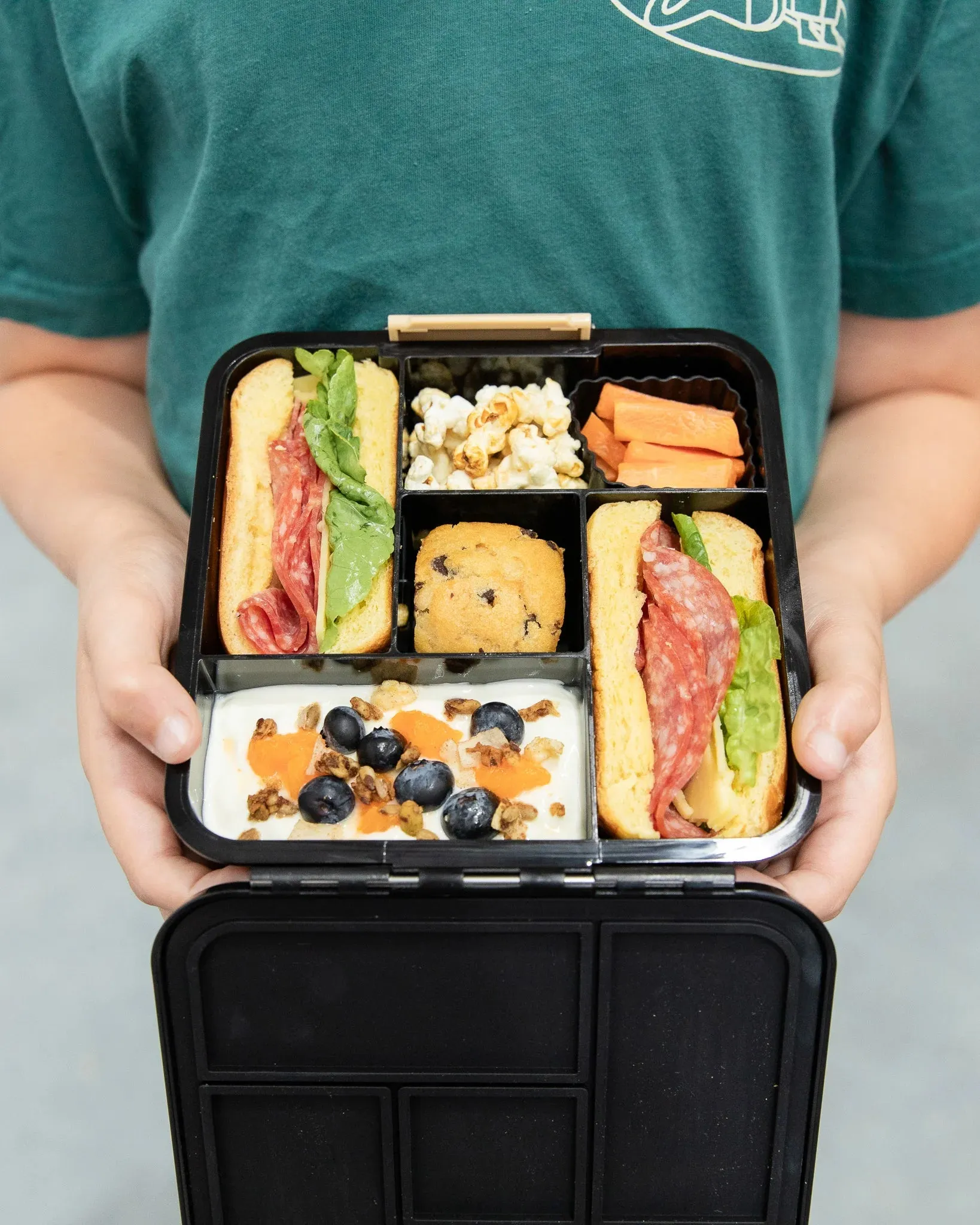 Montiico Bento Five Lunch Box - Dinosaur Land