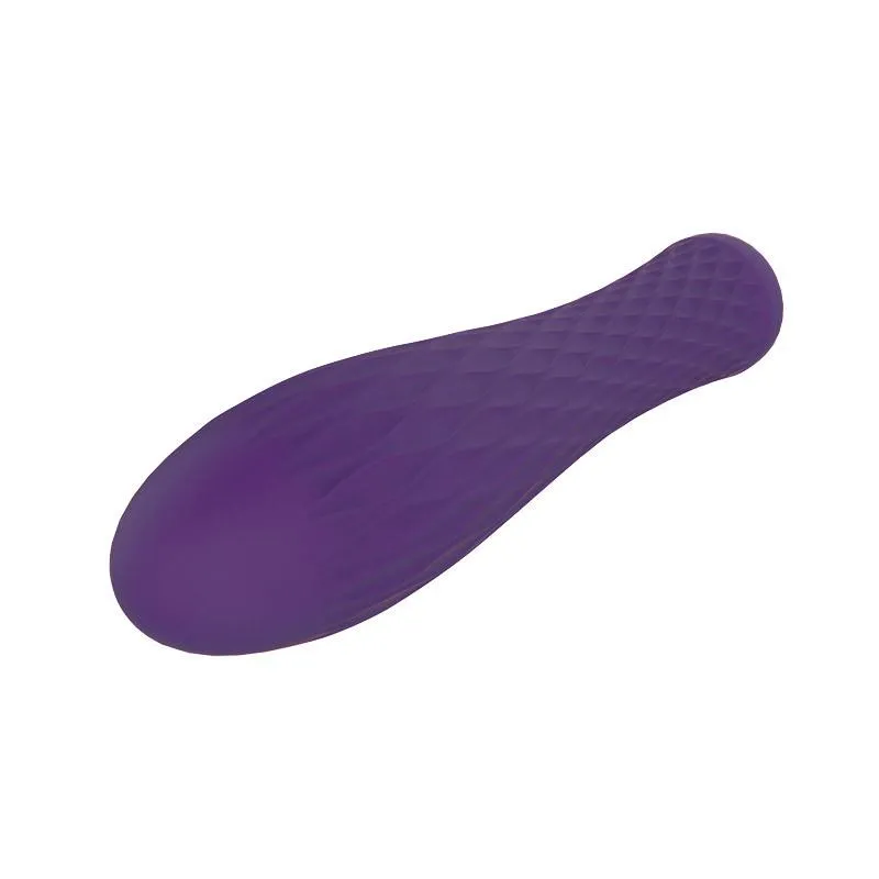 Nalone Ian 2 Pocket Vibrator