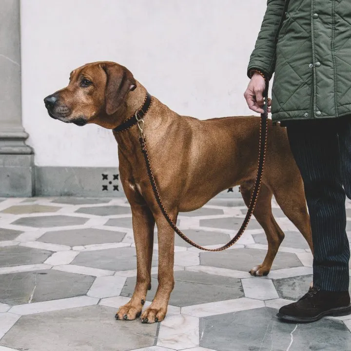 Orange Cross Leash