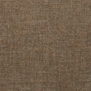 Pasaro-Vicuna