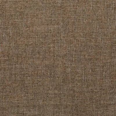 Pasaro-Vicuna