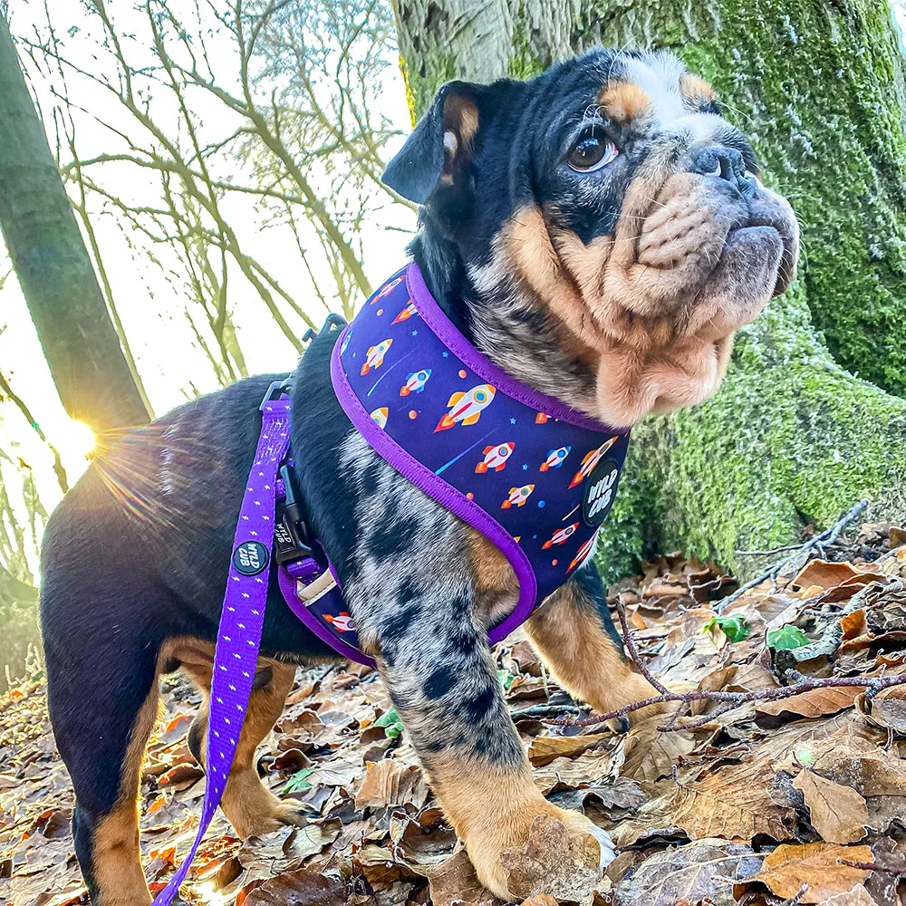 Pocket Rocket: Dog Lead