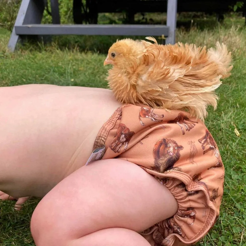 Reusable Pocket Nappy