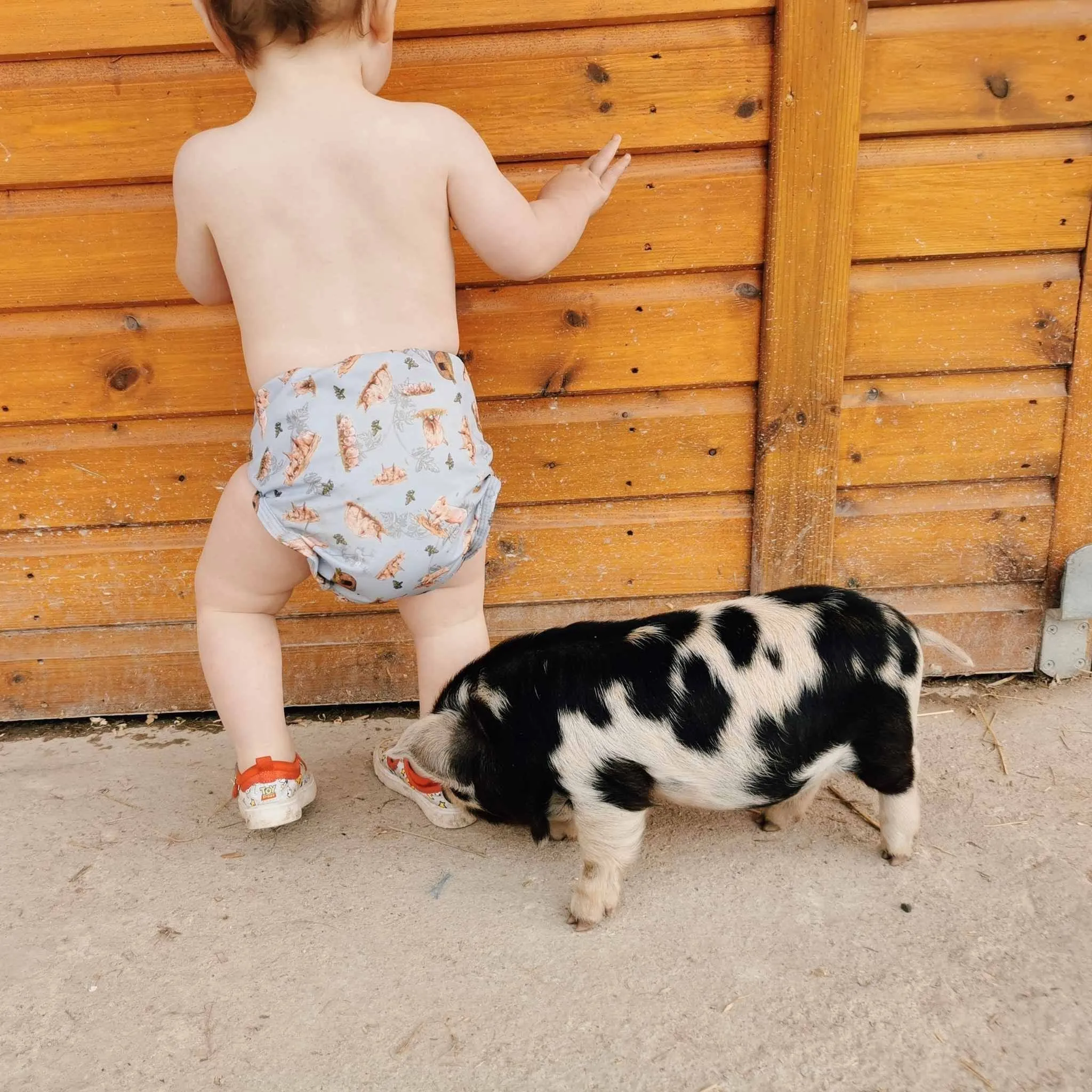 Reusable Pocket Nappy
