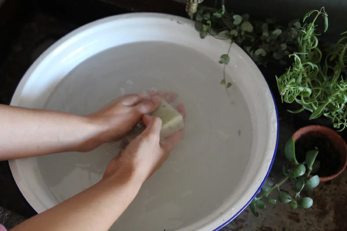 Rosehip   Eucalyptus Soap