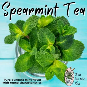 Spearmint (Herbal - Caffeine Free)