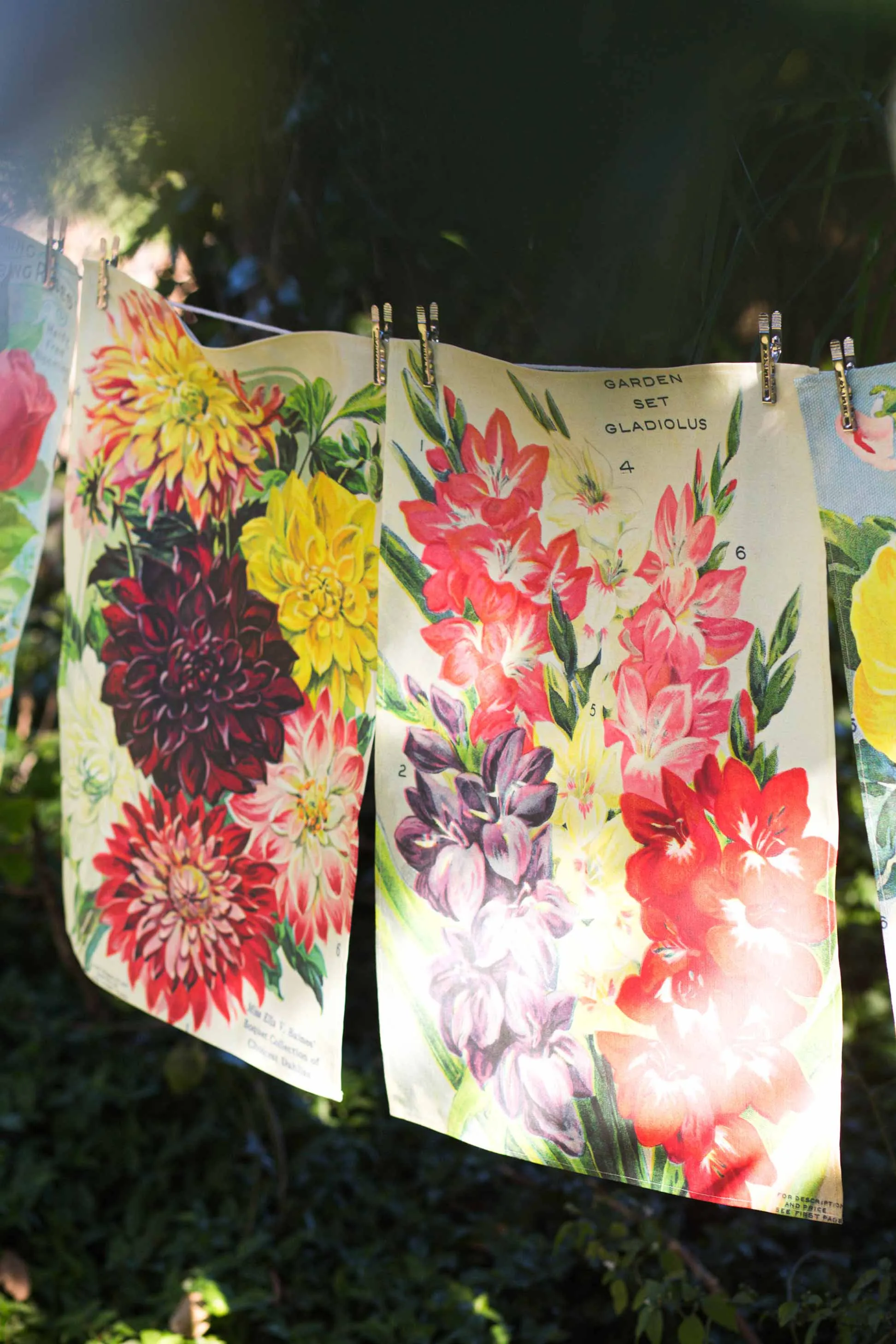 Tea Towel Gladiolus