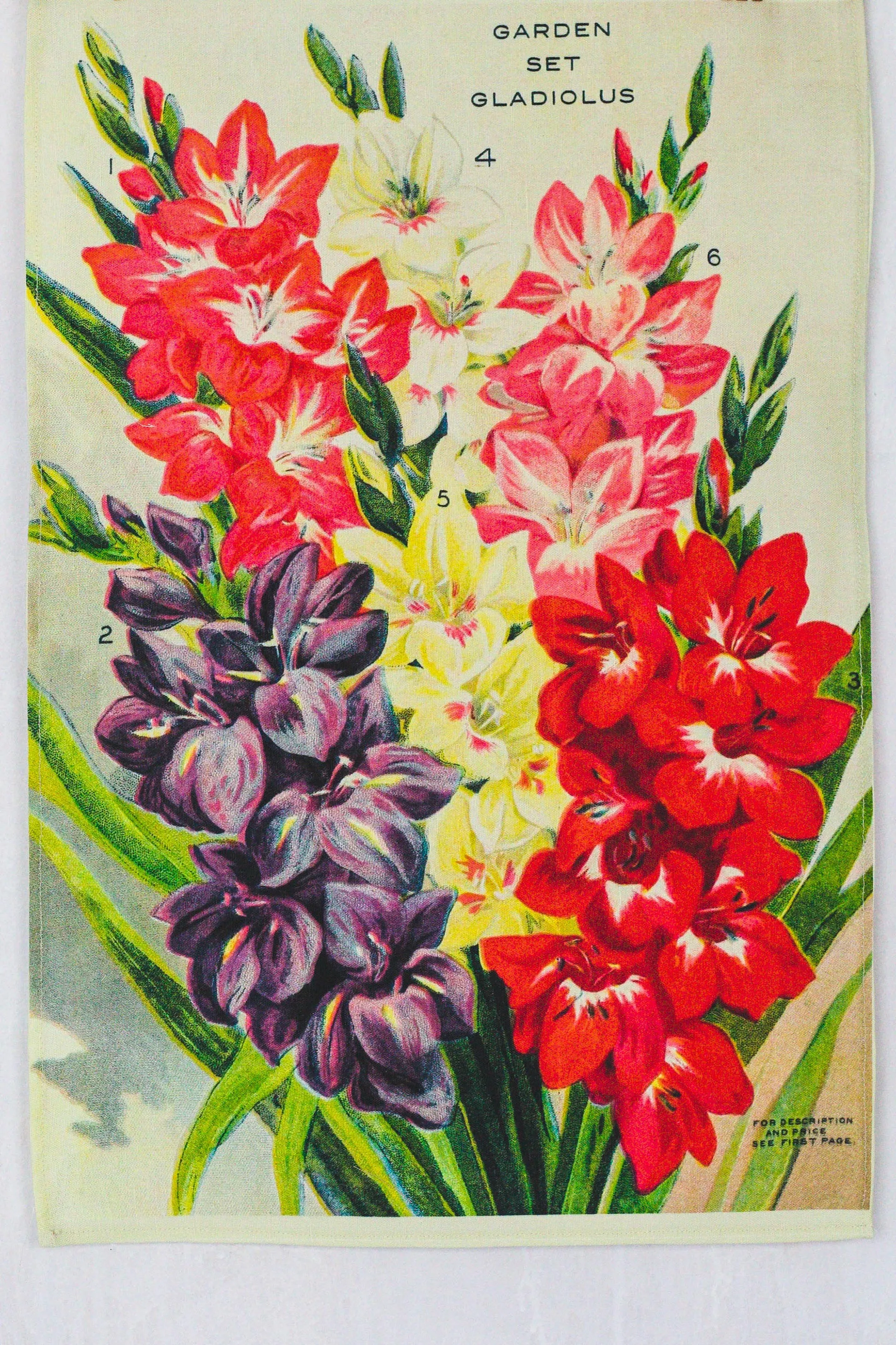 Tea Towel Gladiolus