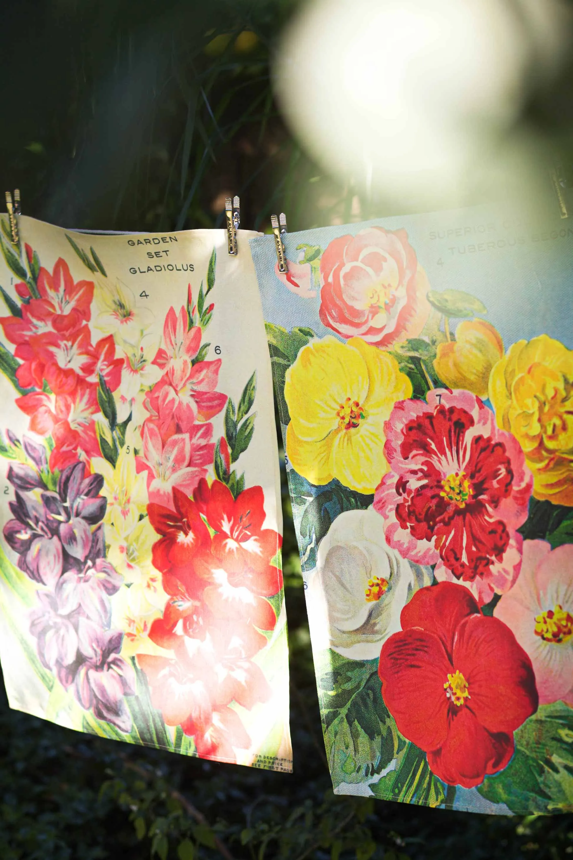 Tea Towel Gladiolus