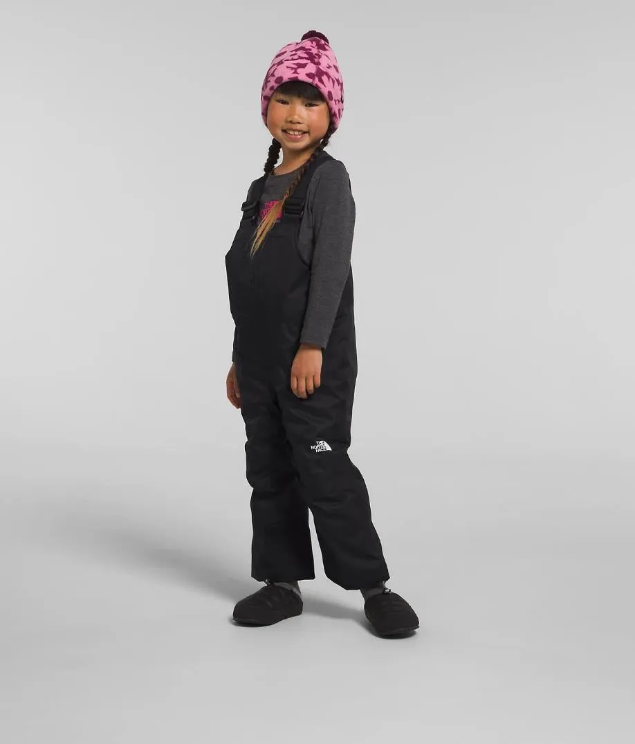 The North Face Freedom Bib Snow Pant