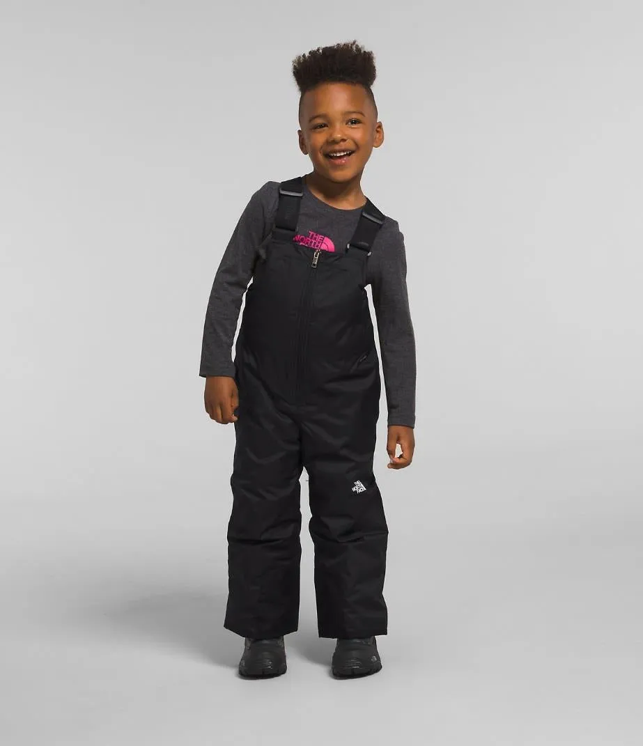 The North Face Freedom Bib Snow Pant