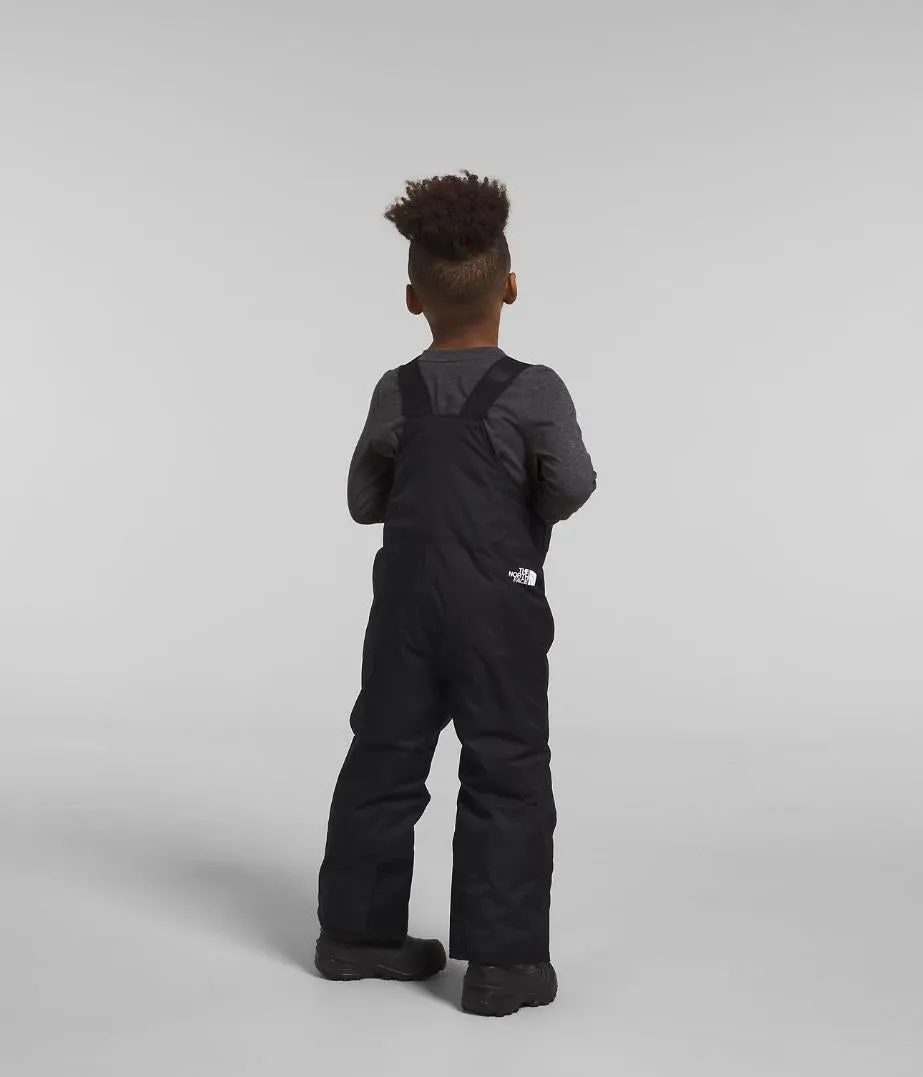 The North Face Freedom Bib Snow Pant